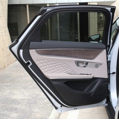 BYD Left Rear Door